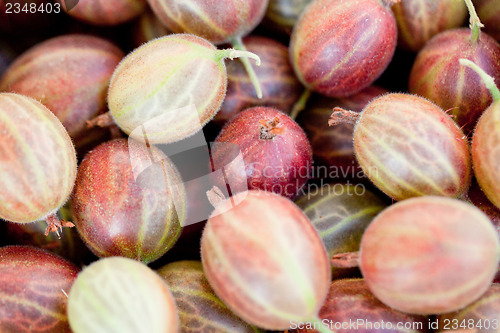 Image of fresh tasty gooseberries macro closeup on market outdoor