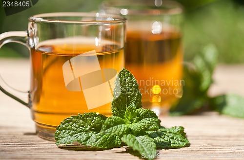 Image of herbal peppermint tea closeup macro outdoor summer