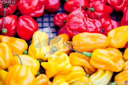 Image of fresh healthy red yellow geen paprika pepper macro closeup