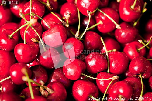 Image of sweet red cherry closeup macro on market outdoor