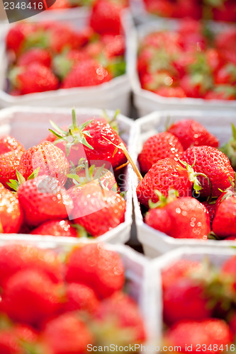 Image of fresh delicious strawberries macro