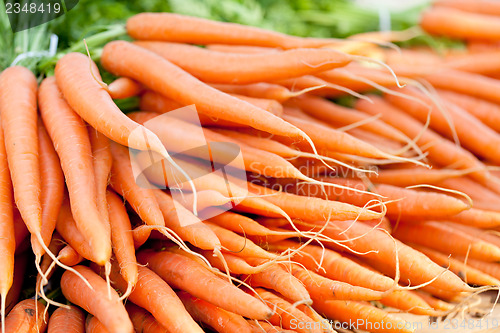 Image of fresh orange carrots on market in summer