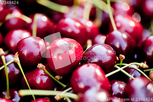 Image of sweet red cherry closeup macro on market outdoor