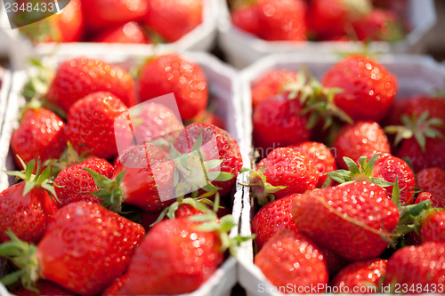 Image of fresh delicious strawberries macro