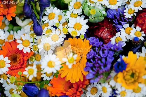 Image of beautiful colorful collection of flowers spring summer celebration