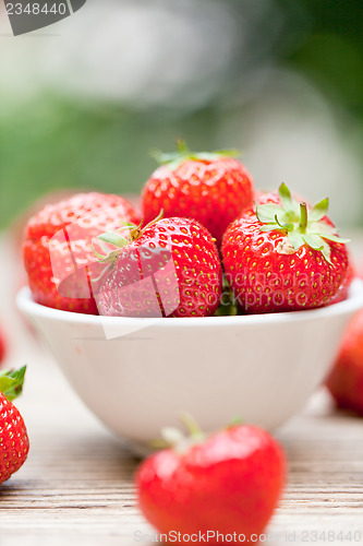 Image of fresh tasty sweet strawberries macro closeup garden outdoor