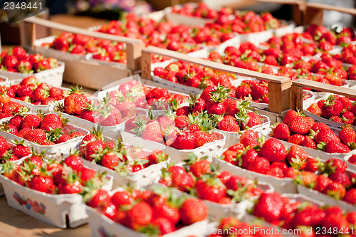 Image of fresh delicious strawberries macro