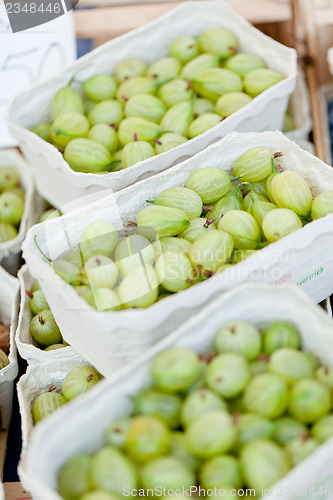 Image of fresh tasty gooseberries macro closeup on market outdoor