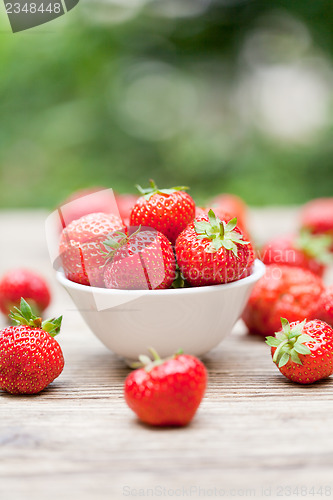 Image of fresh tasty sweet strawberries macro closeup garden outdoor