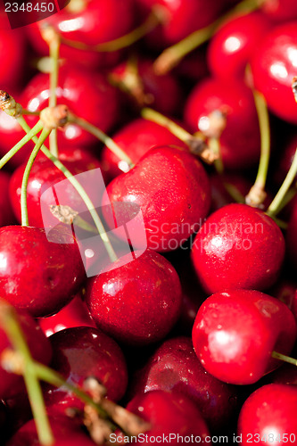 Image of sweet red cherry closeup macro on market outdoor