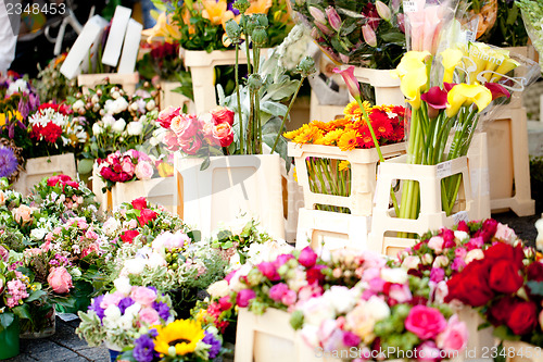 Image of beautiful colorful collection of flowers spring summer celebration