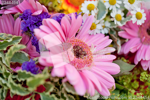 Image of beautiful colorful collection of flowers spring summer celebration