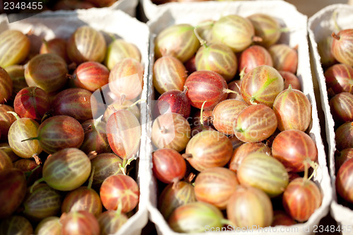 Image of fresh tasty gooseberries macro closeup on market outdoor