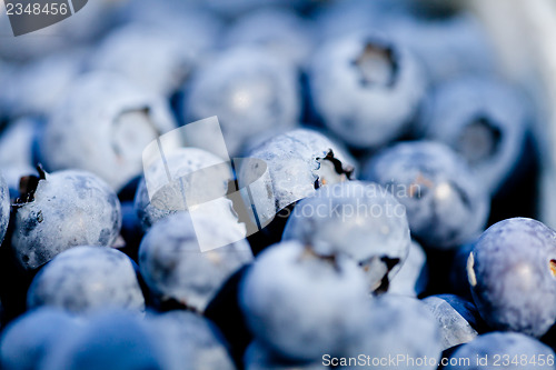 Image of healthy fresh blueberries macro closeup on market outdoor