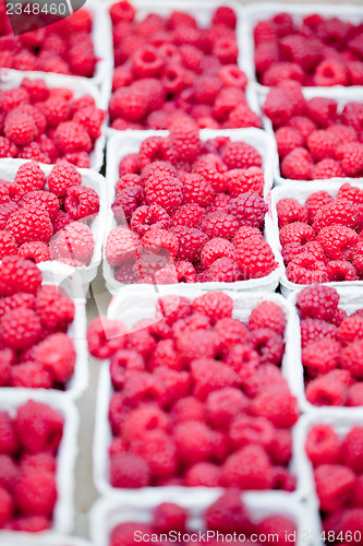 Image of fresh tasty pink raspberry closeup macro on market outdoor