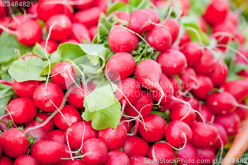 Image of fresh red raddisch closeup macro outdoor market