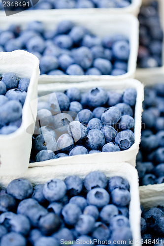 Image of healthy fresh blueberries macro closeup on market outdoor