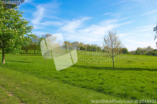 Image of Primrose Hill, London