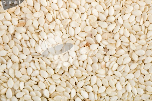 Image of Background of dried sesame seeds