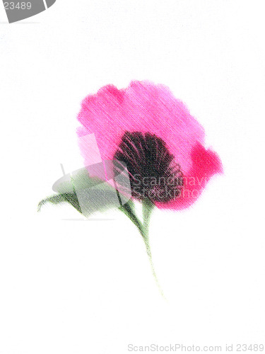 Image of Watercolour of a pink flower