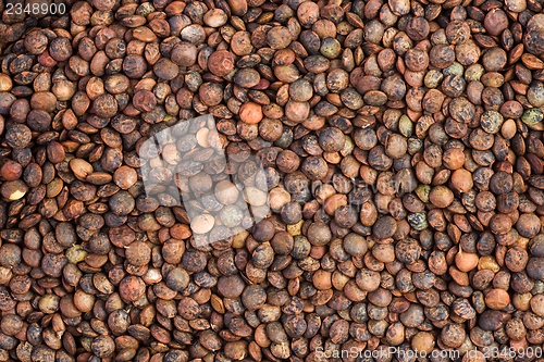 Image of Background of dried french lentils