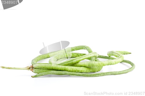 Image of Few pods of fresh long beans (Vigna unguiculata)