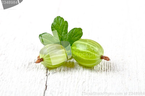 Image of gooseberries with leaves 