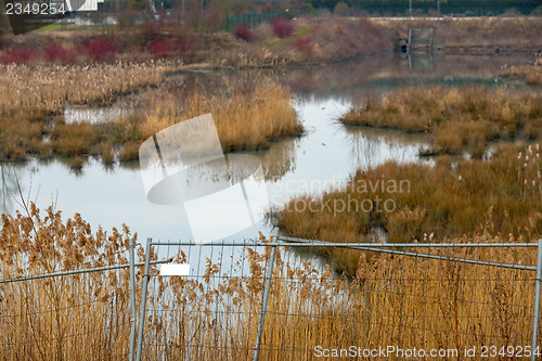 Image of Dangerous swamp closed with metal fence