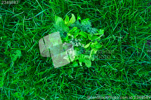 Image of food greens