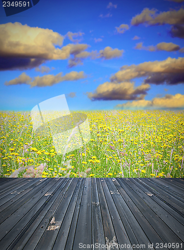 Image of old wood floor and field with flowers