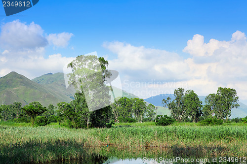 Image of Wetland