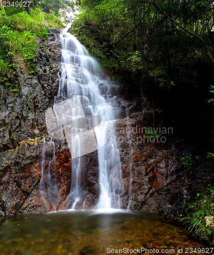 Image of Waterfall in forest