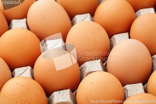 Image of Farm egg in container