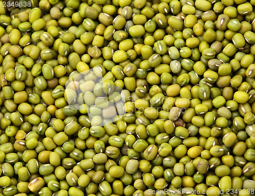 Image of Mung bean close up