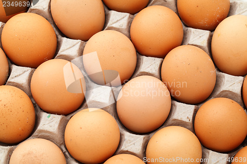 Image of Farm egg in paper container