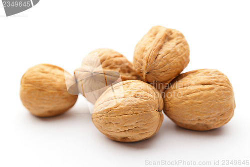 Image of Walnut 