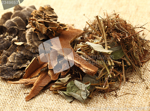 Image of Dried herbal medicine