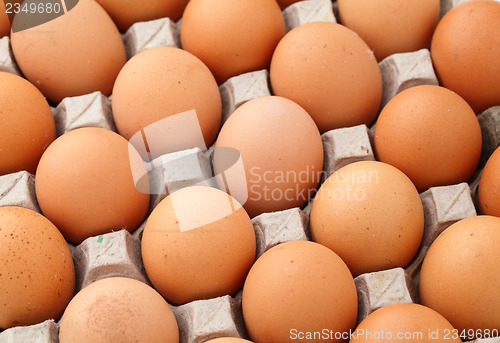 Image of Farm egg in paper container