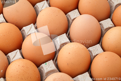 Image of Heap of farm egg close up 