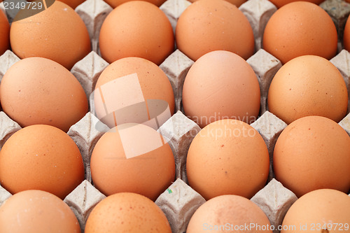 Image of Heap of farm egg 