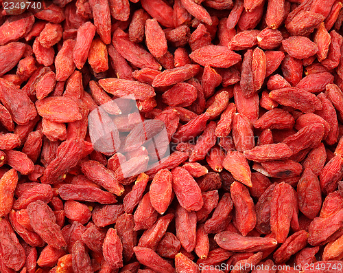 Image of Dried wolfberry fruit