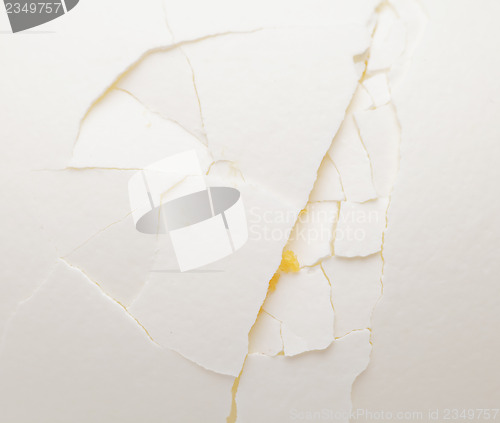 Image of Cracked white egg close up
