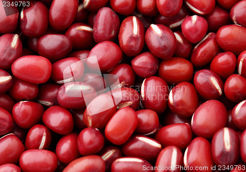 Image of Adzuki Red Bean close up 