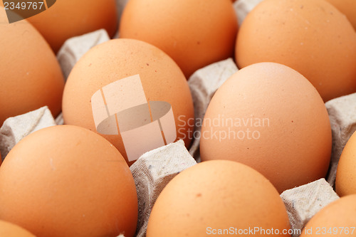 Image of Farm egg close up 