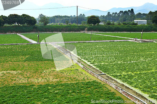 Image of Farm with sky