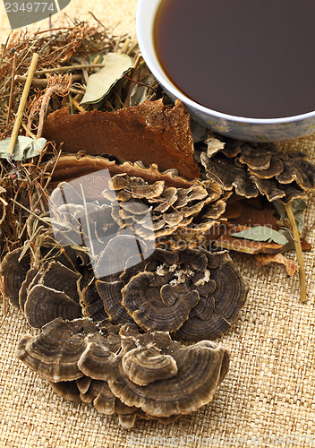 Image of Chinese herbal medicine 