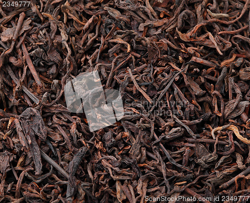 Image of Chinese black tea