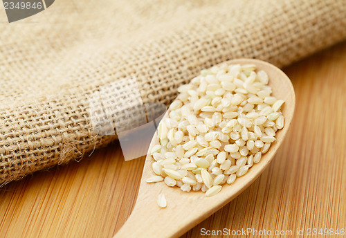 Image of Uncooked rice on spoon