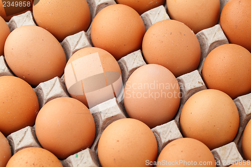 Image of Heap of farm egg