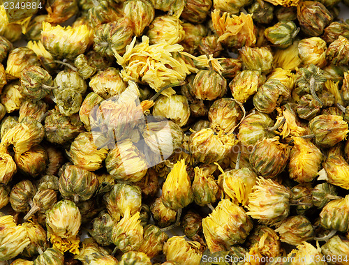 Image of Dried chamomile tea